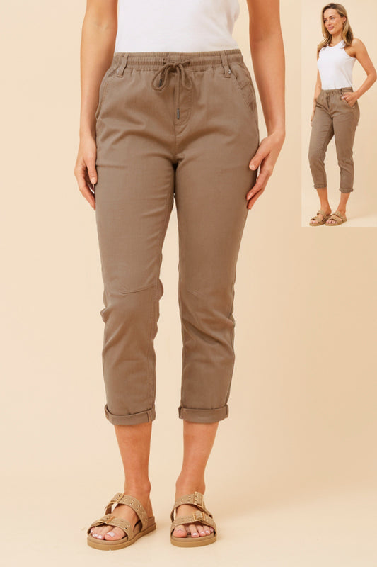 Solid Joggers Pant - Caribou P510293