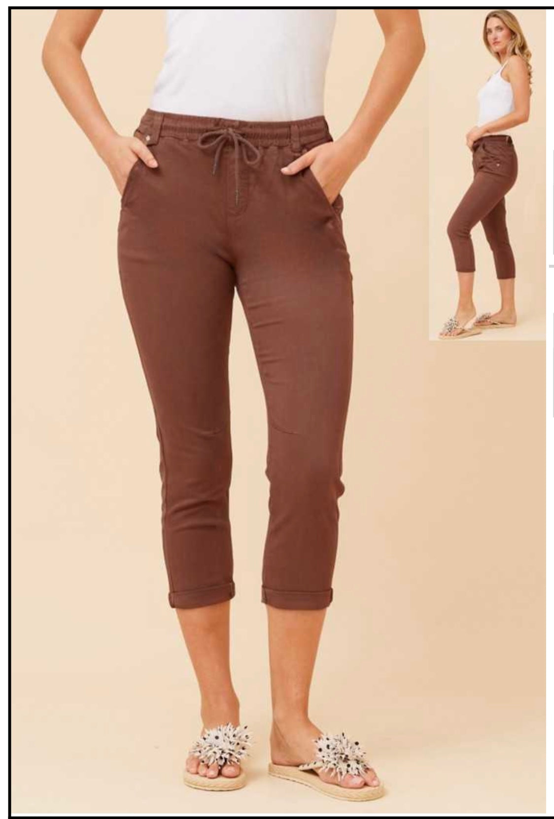 Solid Joggers Pant - Chocolate P510293
